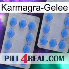 Karmagra Jelly 20